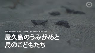 屋久島のうみがめと　島のこどもたち