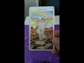 temperance tarot card meaning major arcana 14