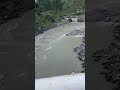 Flood in kasol 😱😱 kasol parvati valley (kullu, Himachal pradesh) #kasol #youtube #shorts