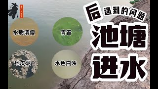 放苗前必看！深扒南美白对虾养殖池塘进水后的那些问题