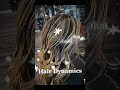 balayage 22yearsofsalonexperience haircare blondes hair hairtreatment glamhair hairtok