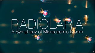 Radiolaria: A Symphony of Microcosmic Dream [AI Short Film]