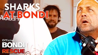 SHARKS at Bondi Beach - Top 5 Encounters