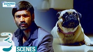 Dhanush Attacks his Dog | 3 Telugu Movie Scenes | Shruti Haasan | Sivakarthikeyan | Anirudh