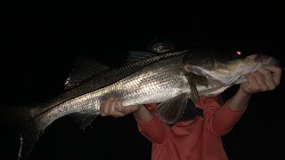 BIG SNOOK on the NLBN Lil Mullet in a CREEK!!! and more!