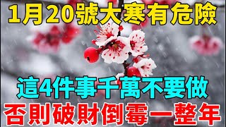 特別提醒！1月20號大寒有危險！這4件事千萬不要做，否則破財倒霉一整年！【禪意】#生肖 #運勢 #風水 #財運#命理#佛教