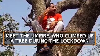 MEET THE UMPIRE, WHO CLIMBED UP A TREE DURING THE LOCKDOWN