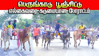 4பெருங்காடு-15.000ஆயிரம்-பந்தயம்02.02.2025