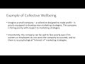 peter koch wellbeing capabilities and collectives so2020