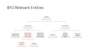 Peter Koch - Wellbeing, Capabilities, and Collectives - SO2020