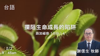 EFCLA 洛福教會 2025 0202【 攔阻生命成長的陷阱 】 謝信生牧師 台語