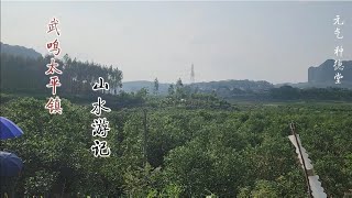 【种德堂】武鸣木棉倒地一枝花，山水游记行程录