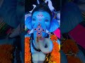 आतुरता लाडक्या बाप्पाच्या आगमनाची..❤🌍🌸🙏 video viral bappa bappamorya bappastatus