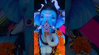 आतुरता लाडक्या बाप्पाच्या आगमनाची..❤🌍🌸🙏 #video #viral #bappa #bappamorya #bappastatus