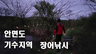 안면도 기수 지역 장어 낚시/EEL Fishing