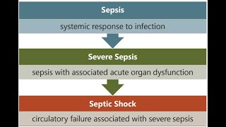 Sepsis, SIRS, Septic Shock ICD-10-CM Coding for CPC and CCS Exam