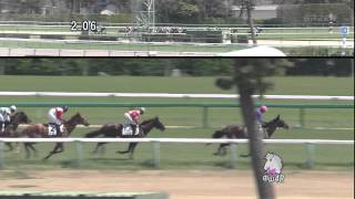 2012年4月7日 中山4R 障害未勝利 セイエイ