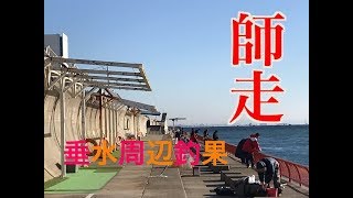 fishingmax垂水店12/29平磯・アジュール舞子リアルタイム