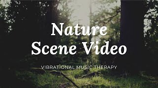 2021  Nature Sounds Relaxing Music Sleep 4K HD 03 👉 Nature Scene Video