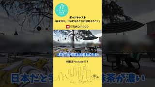 【海外あるある】日本のアイスクリームは尊い❗️ #shorts #海外生活 #アメリカあるある #カルチャーショック #podcast  #podcastclips #ロサンゼルス