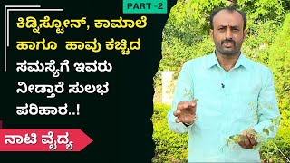 ಕಿಡ್ನಿಸ್ಟೋನ್, ಕಾಮಾಲೆ ಹಾಗೂ  ಹಾವು ಕಚ್ಚಿದ ಸಮಸ್ಯೆಗೆ ಇವರು ನೀಡ್ತಾರೆ ಸುಲಭ ಪರಿಹಾರ..!| Naati Vaidya | AyushTV