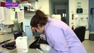 BSc courses: Biomedical Sciences at The University of Manchester