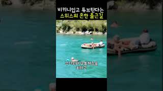 비키니입고 튜브탄다는 스위스의 흔한 출근길 #썰 #웃긴영상 #출근길