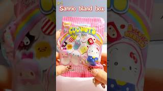 Sanrio unboxing: cute little Sanrio coo’nuts