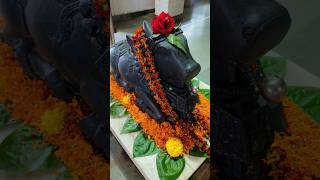 Har har Mahadev 🙏🌺🙏#bholenath #omnamhshivay #shiv #shivshankar