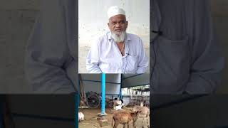 கழுதை எத்தனை மாதம் பால் கறக்கும் | கழுதை வளர்ப்பு முறை | Donkey farming | Donkey farm in tamilnadu |