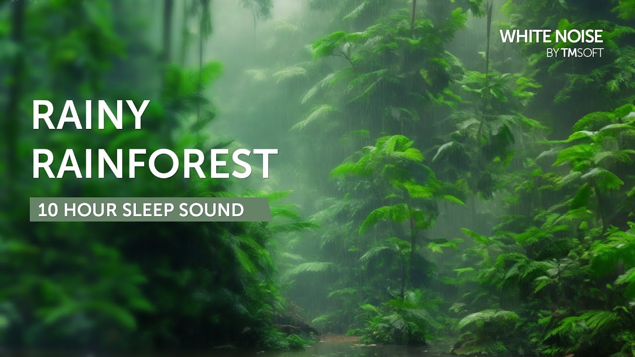 Rainforest Rain 10 Hours Sleep Sound Black Screen Youtube