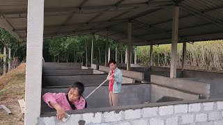 plaster the wall surface with cement mortar