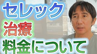 セレック治療の料金はどれくらいか？【埼玉県蓮田市東蓮見歯科医院】