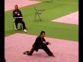 2008年　全日本武術選手権大会　総合蟷螂拳