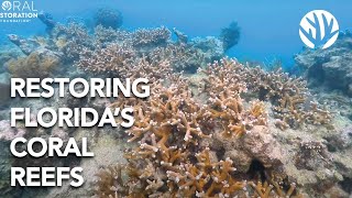 Introduction to Coral Restoration Foundation™