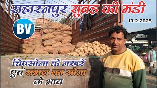 सहारनपुर मंडी में 10.2.2025 को सब्जियों के सुबह के भाव | #saharanpurmandi #babbarvlog