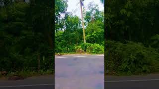 wow new video #ওয়াও #বাংলাদেশ #subscribe #shortvideo