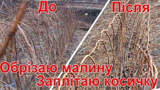 Обрізка літньої малини весною | Проріджування малини | Проста підв'язка малини косичкою