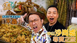 《煮題COOK 6》EP3：挑戰天下黃金美食「禾蟲」 中山沙崗墟尋寶之旅｜#煮題Cook中山好食好煮｜#中山美食｜Ricky #張錦祥｜Jacky #余健志 ｜HOY TV