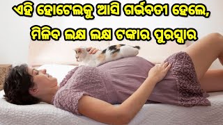 ବାପ୍ ରେ ବାପ୍, ଏହି ହୋଟେଲକୁ ଆସି ଗର୍ଭବତୀ ହେଲେ, ମିଳିବ ଲକ୍ଷ ଲକ୍ଷ ଟଙ୍କାର ପୁରସ୍କାର