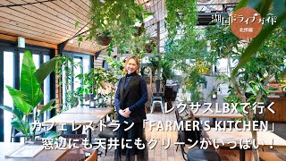 レクサスLBXで行くカフェレストラン「FARMER'S KITCHEN」　窓辺にも天井にもグリーンがいっぱい！