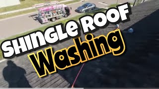 Quick Shingle Roof Wash #roofcleaning #softwashing #howto