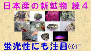 鉱物の部屋 52 日本産の新鉱物 続4