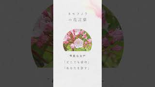 【４月３０日】誕生花