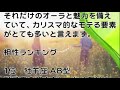 獅子座ab型の性格、恋愛運や愛し合う時の傾向などが浮き彫りに！恋のアドバイスと相性ランキングベスト１０をご案内します！星座占いと血液型占いの組み合わせでわかる自分の性格と、あの人との相性占いをどうぞ。