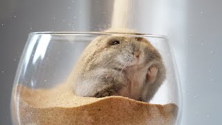 Just a mochi getting dusted: