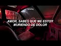 amor, sabes que me estoy muriendo de dolor 😥 / Llorarás Por Mí – Chapa C | letra / lyrics