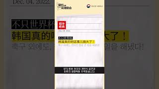 [외신으로 보는 국제이슈📰] 일곱번째 이슈. 카타르 월드컵 한국 대표팀에 대한 반응 #shorts