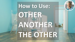 OTHER vs ANOTHER vs THE OTHER (6 Illustrated Examples)