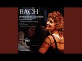 Harpsichord Concerto in F Minor, BWV 1056: III. Presto